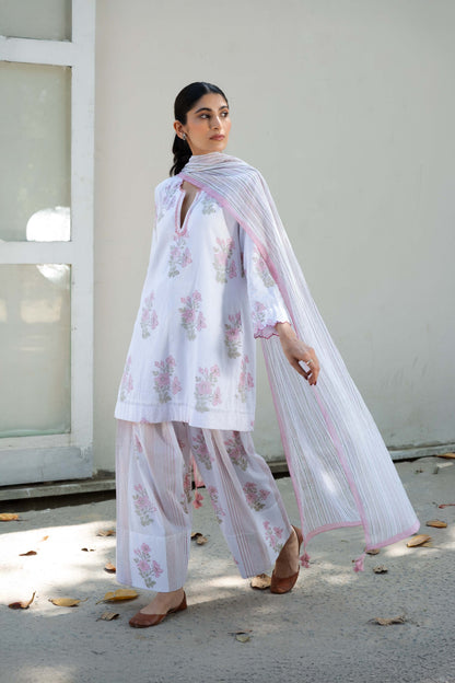 Sofie Farshi Salwar Set Pink
